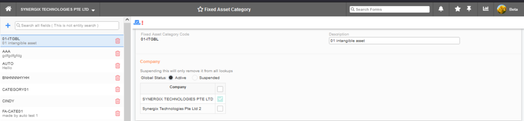 E2 Fixed Asset Category