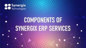 Components of ERP Services Components of ERP Services
