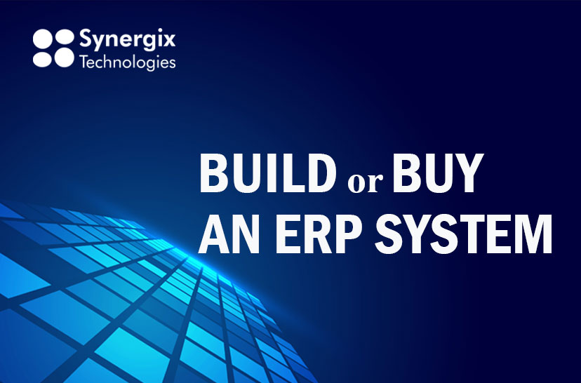 ERP System_Build or Buy an ERP System