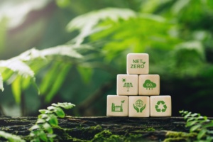 net zero carbon neutral concept wooden cubes with netzero icon net zero greenhouse gas 300x200 - Environmental, Social and Governance (ESG) & How ERP Can Help Make Earth a Better Planet