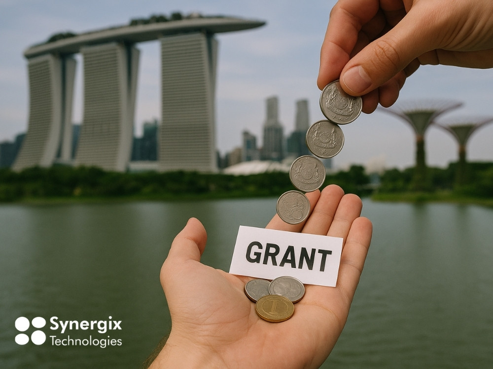 Top Government Grants for SMEs in Singapore